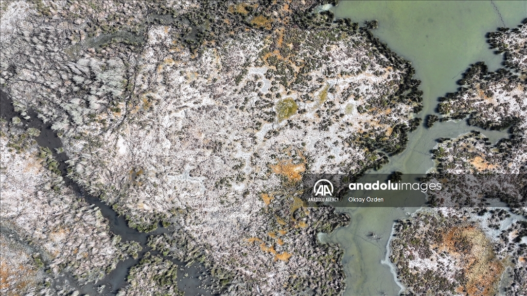 Историческую атмосферу античного порта Андриаке обогатит проект «Наследие для будущего».