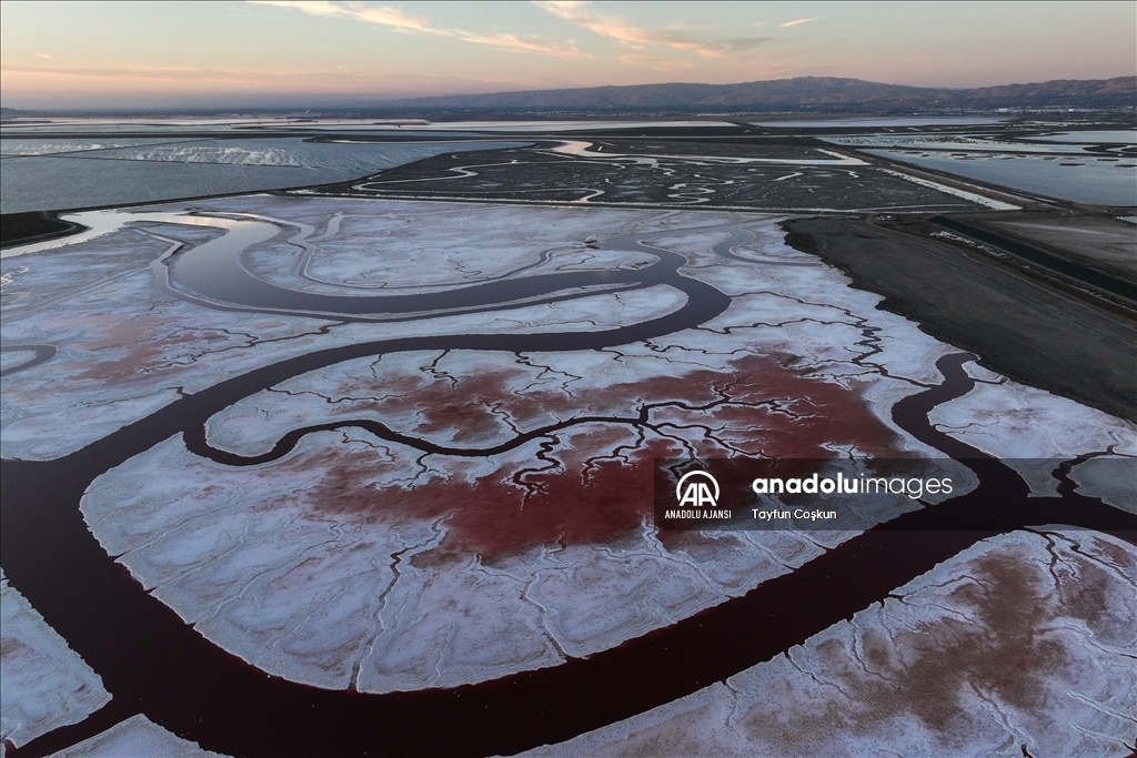 San Francisco Körfezi'ndeki Alviso Marina Bölge Parkı'nın tuz göleti ziyaretçileri cezbediyor