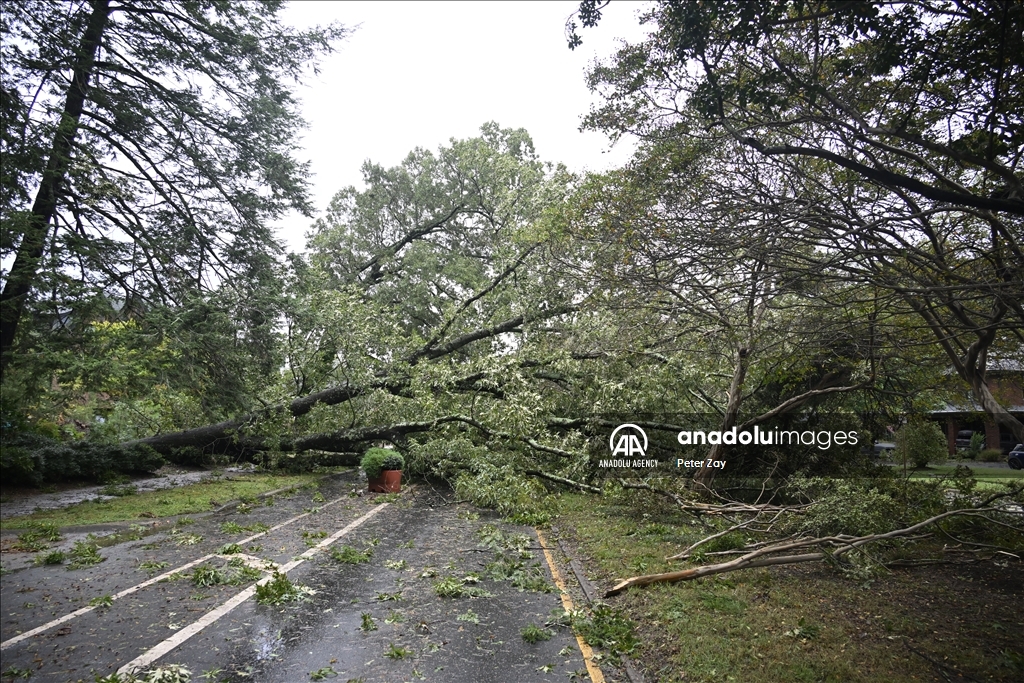 Число жертв последствий урагана «Хелен» в США превысило 90 человек