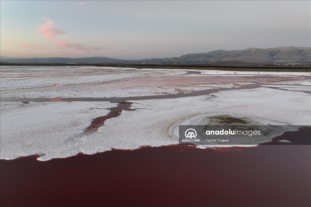San Francisco Körfezi'ndeki Alviso Marina Bölge Parkı'nın tuz göleti ziyaretçileri cezbediyor