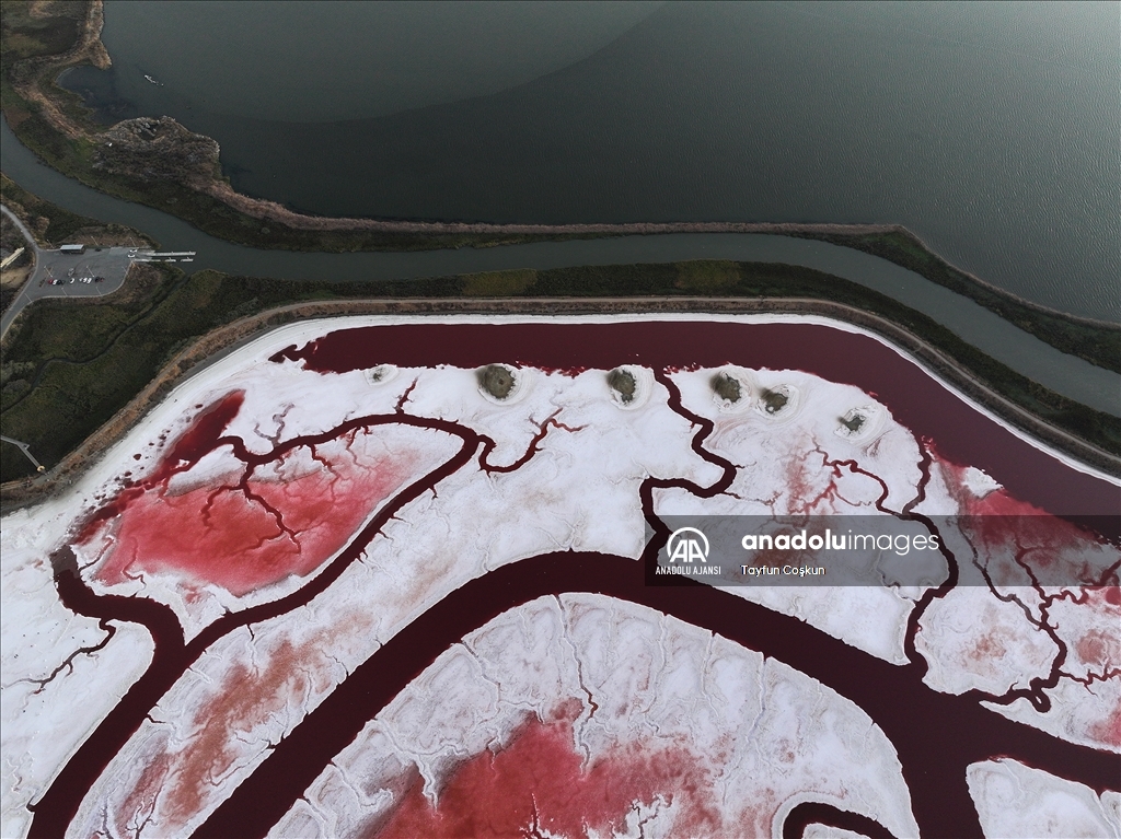 San Francisco Körfezi'ndeki Alviso Marina Bölge Parkı'nın tuz göleti ziyaretçileri cezbediyor
