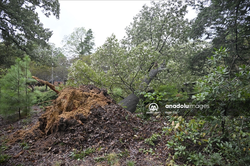 Число жертв последствий урагана «Хелен» в США превысило 90 человек