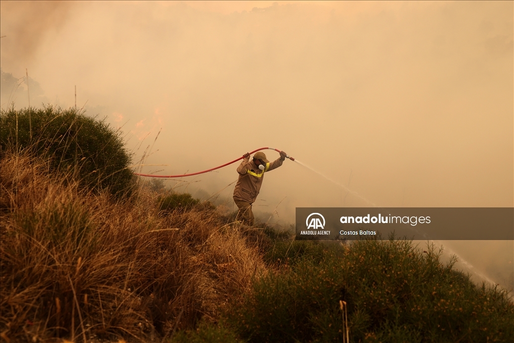 Wildfire burns in the Village of Gelini near Corinth, Greece