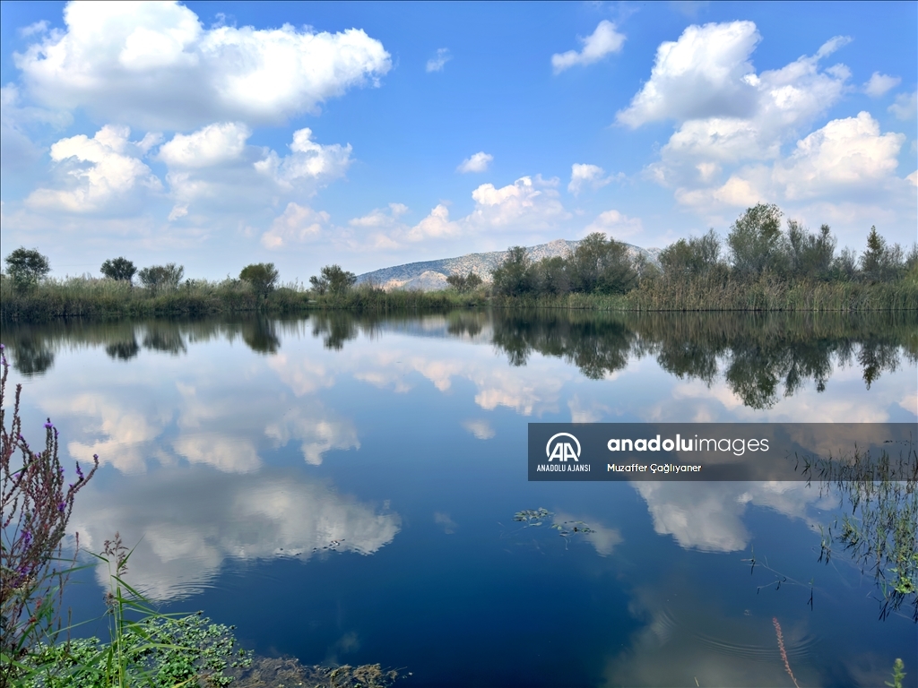 Kastabala Kuş Cenneti'ne güz renkleri hakim oldu