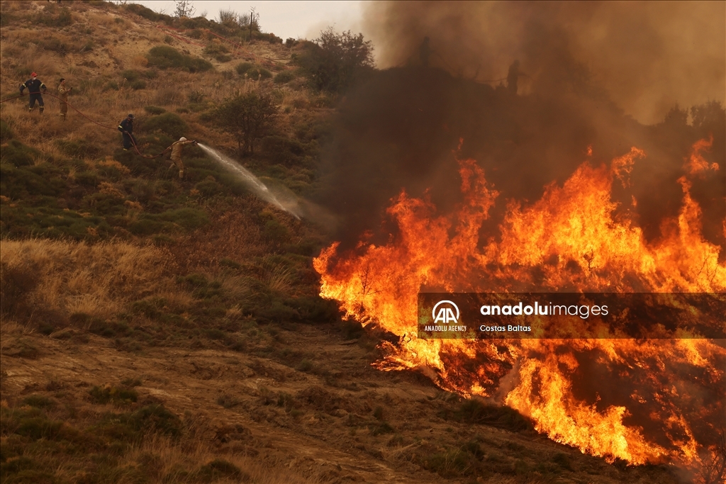 Wildfire burns in the Village of Gelini near Corinth, Greece