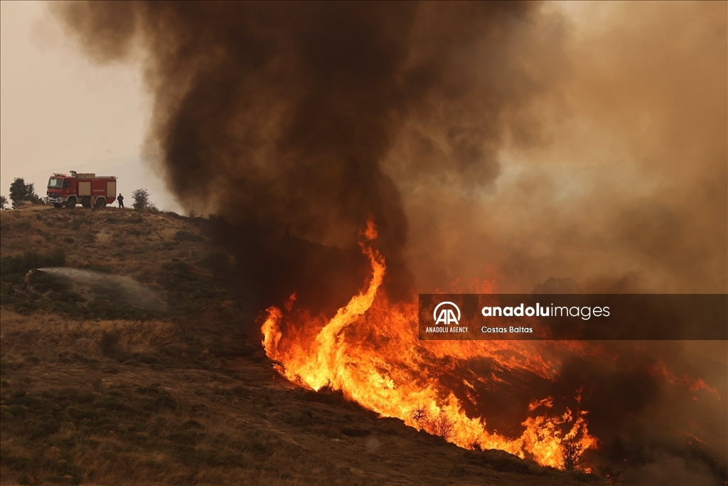 Wildfire burns in the Village of Gelini near Corinth, Greece