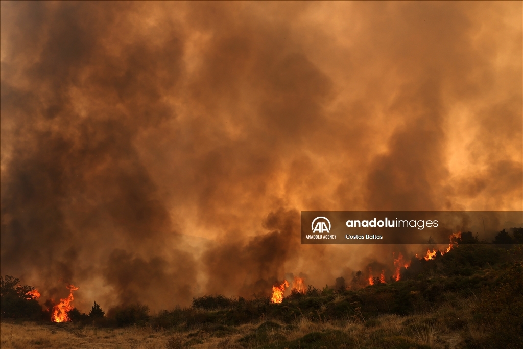 Wildfire burns in the Village of Gelini near Corinth, Greece