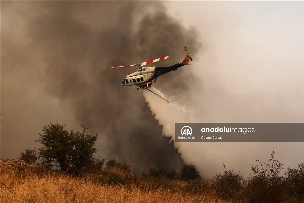 Wildfire burns in the Village of Gelini near Corinth, Greece