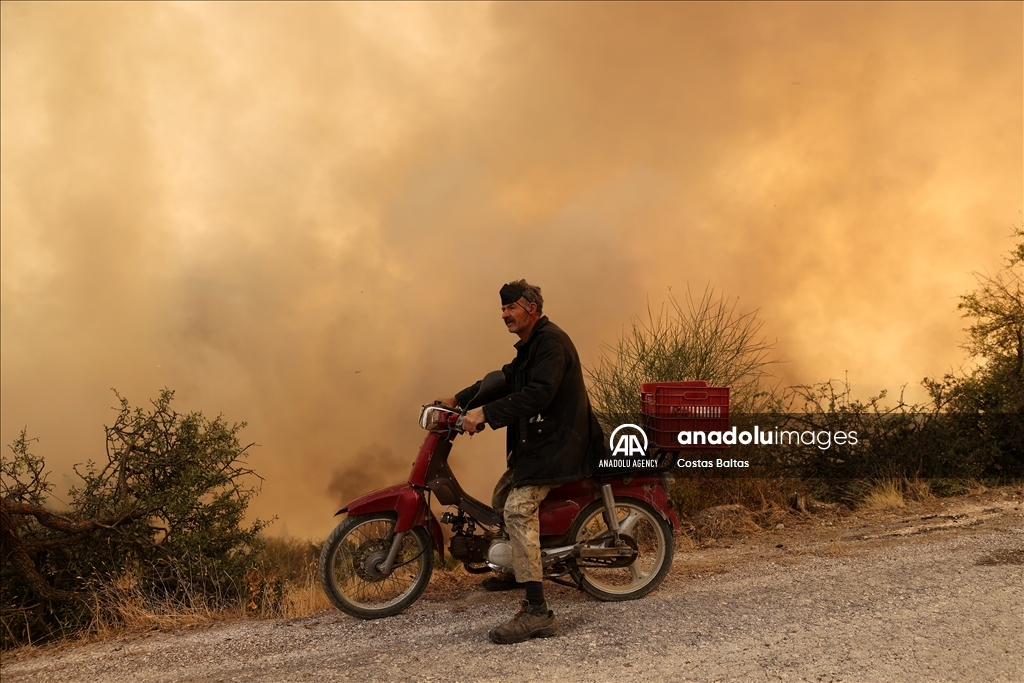 Wildfire burns in the Village of Gelini near Corinth, Greece