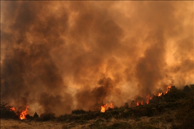 Wildfire burns in the Village of Gelini near Corinth, Greece