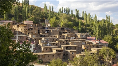 Fotoğraf tutkunları Bitlis'teki taş evleri görüntüledi