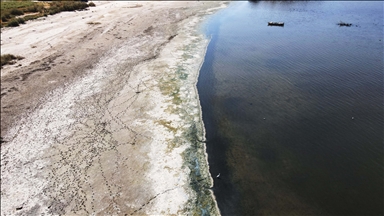 Ege Bölgesi'nin en büyük doğal gölü Bafa, kuraklığın etkisiyle 30 metre çekildi