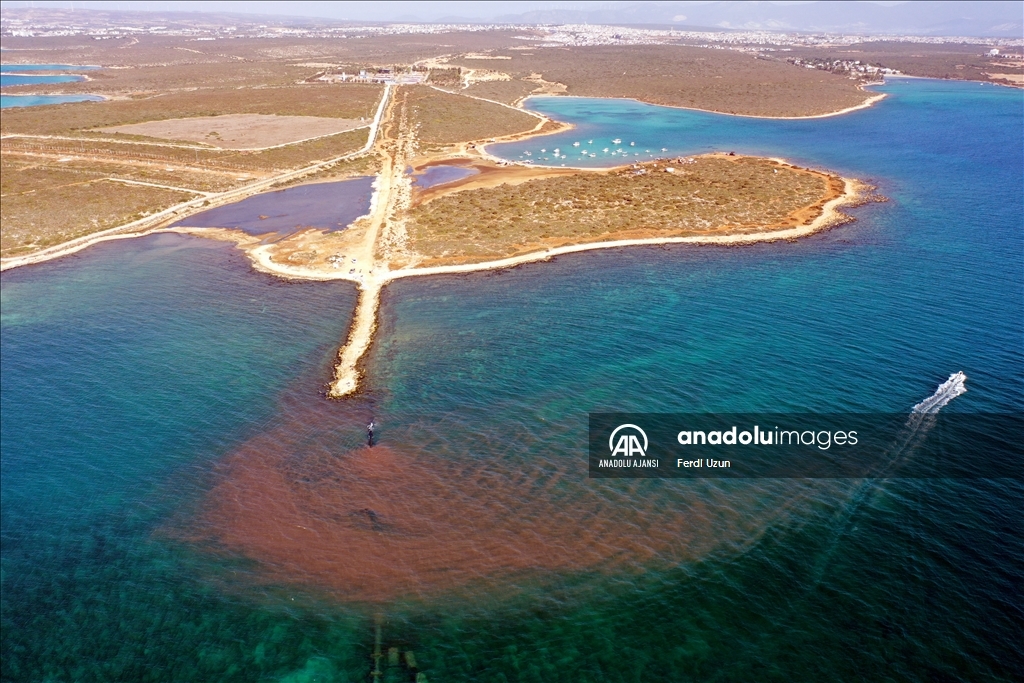 Didim'de kirli suyun arıtılmadan denize boşaltıldığı ihbarına inceleme