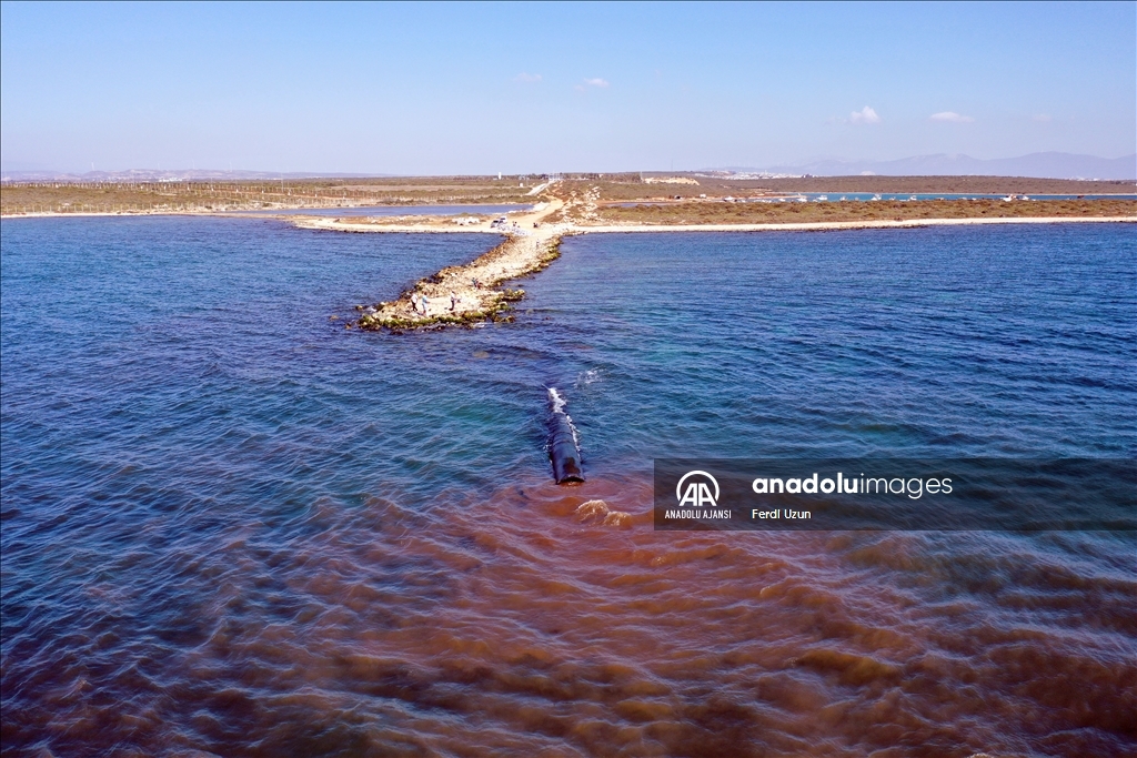 Didim'de kirli suyun arıtılmadan denize boşaltıldığı ihbarına inceleme