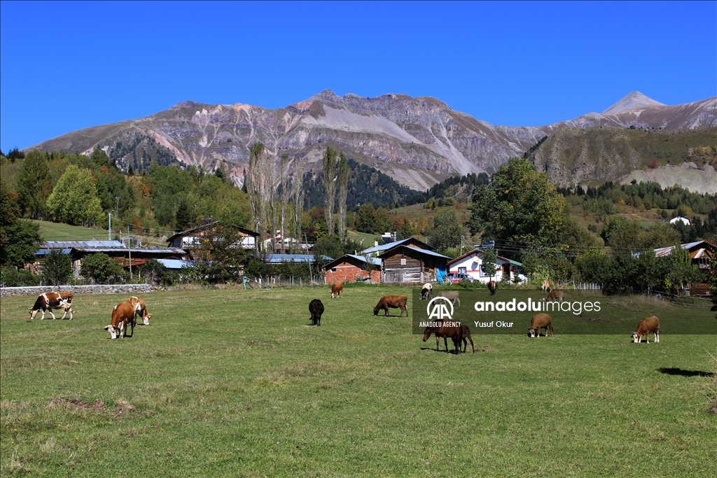 Natural beauties of Turkiye's Artvin