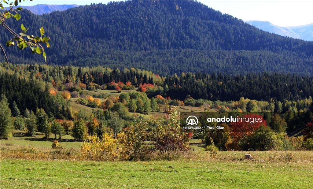 Natural beauties of Turkiye's Artvin