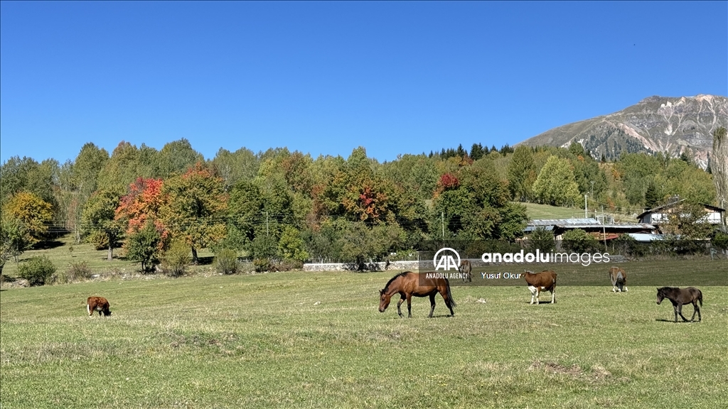 Natural beauties of Turkiye's Artvin