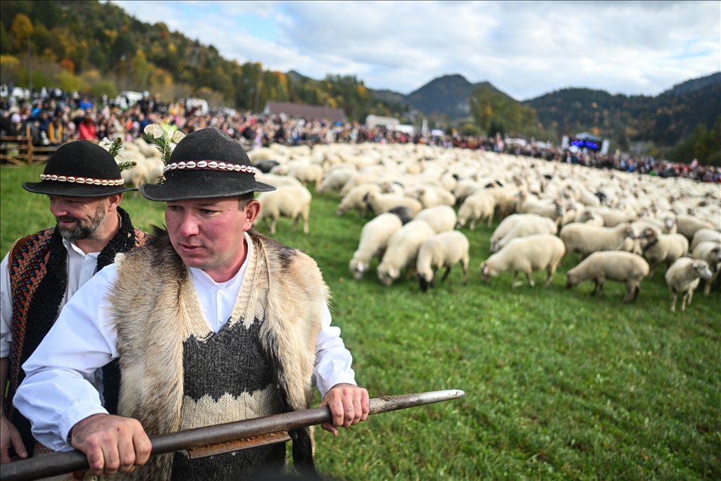 Shepherds and sheep descend for Redyk: Celebrating end of the shepherd season in Poland