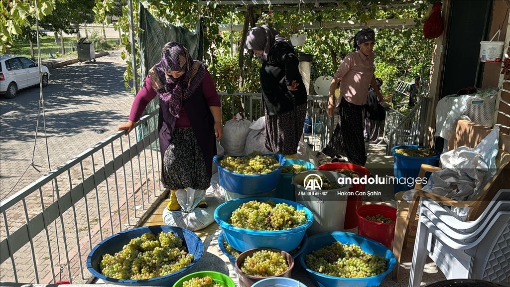 بجهود نسائية.. رحلة دبس العنب للموائد تبدأ بقيصري التركية 