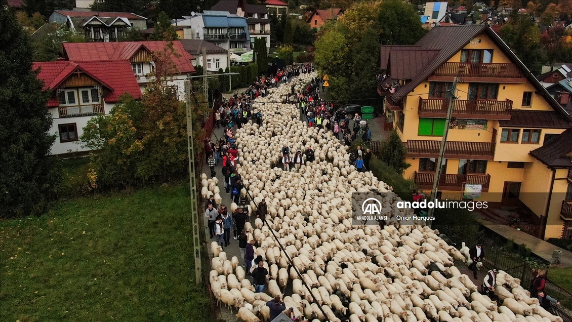 Polonya'da geleneksel Redyk etkinliği