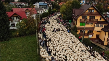 Polonya'da geleneksel Redyk etkinliği