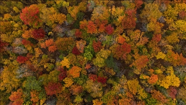 ABD'nin New Hampshire ve Vermont eyaletleri sonbahar renklerine büründü