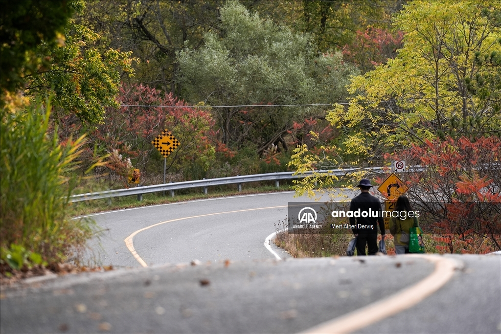 Autumn in Canada