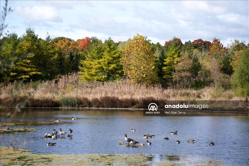 Autumn in Canada