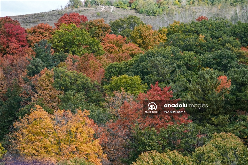 Autumn in Canada