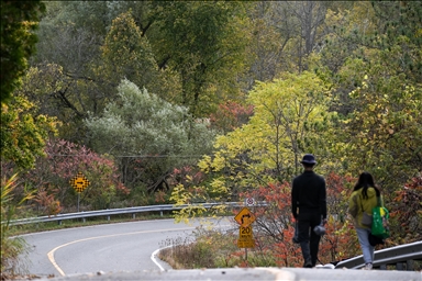 Autumn in Canada