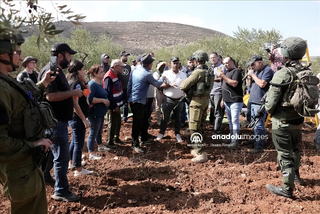 بـ"الفزعة".. الفلسطيني عودة يتحدى المستوطنين ويقطف زيتون الضفة 