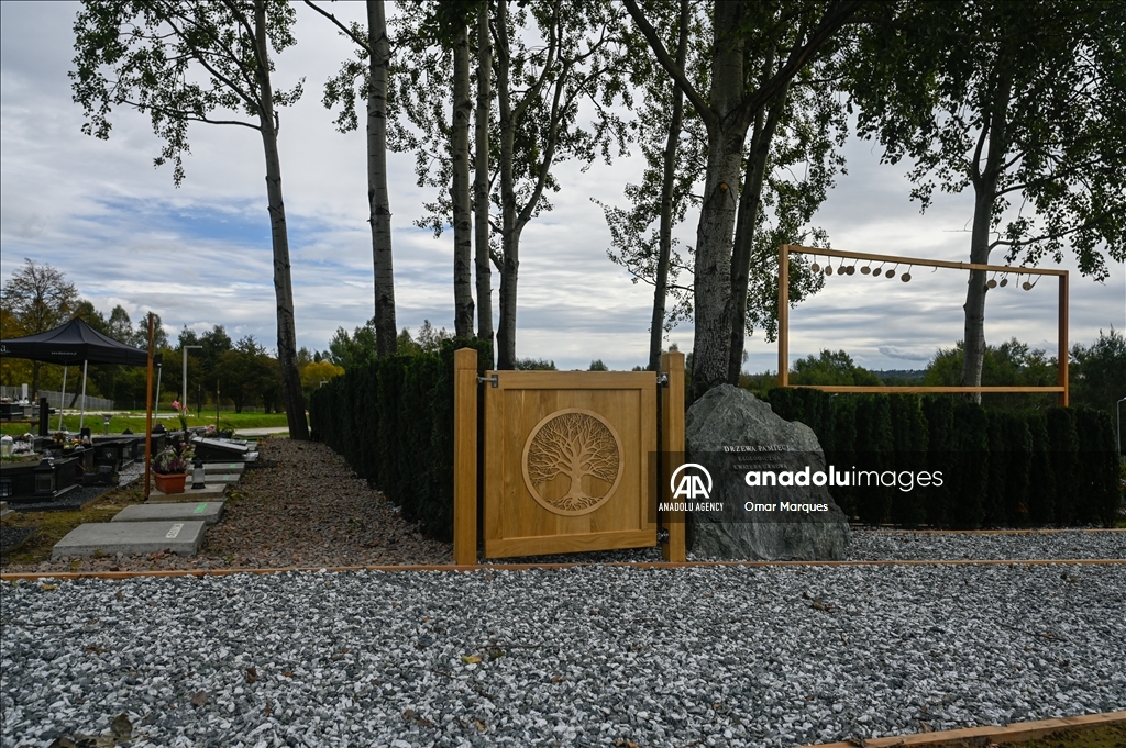 "Trees of Memory", the first fully ecological burial plot in Krakow