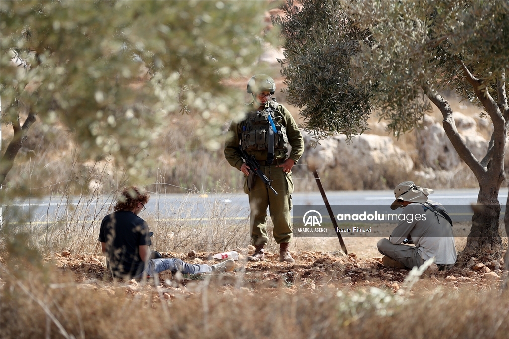 بـ"الفزعة".. الفلسطيني عودة يتحدى المستوطنين ويقطف زيتون الضفة 