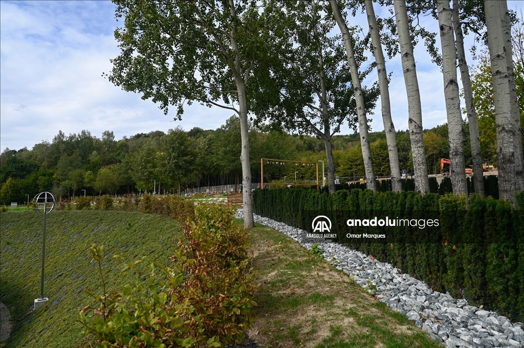 "Trees of Memory", the first fully ecological burial plot in Krakow