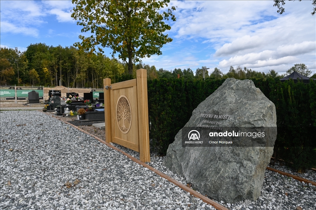 "Trees of Memory", the first fully ecological burial plot in Krakow