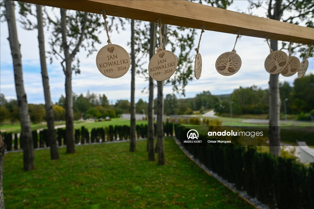 "Trees of Memory", the first fully ecological burial plot in Krakow