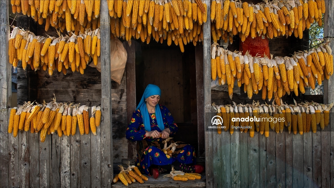 Karadeniz bölgesinin serenderlerinde kışa hazırlık mesaisi