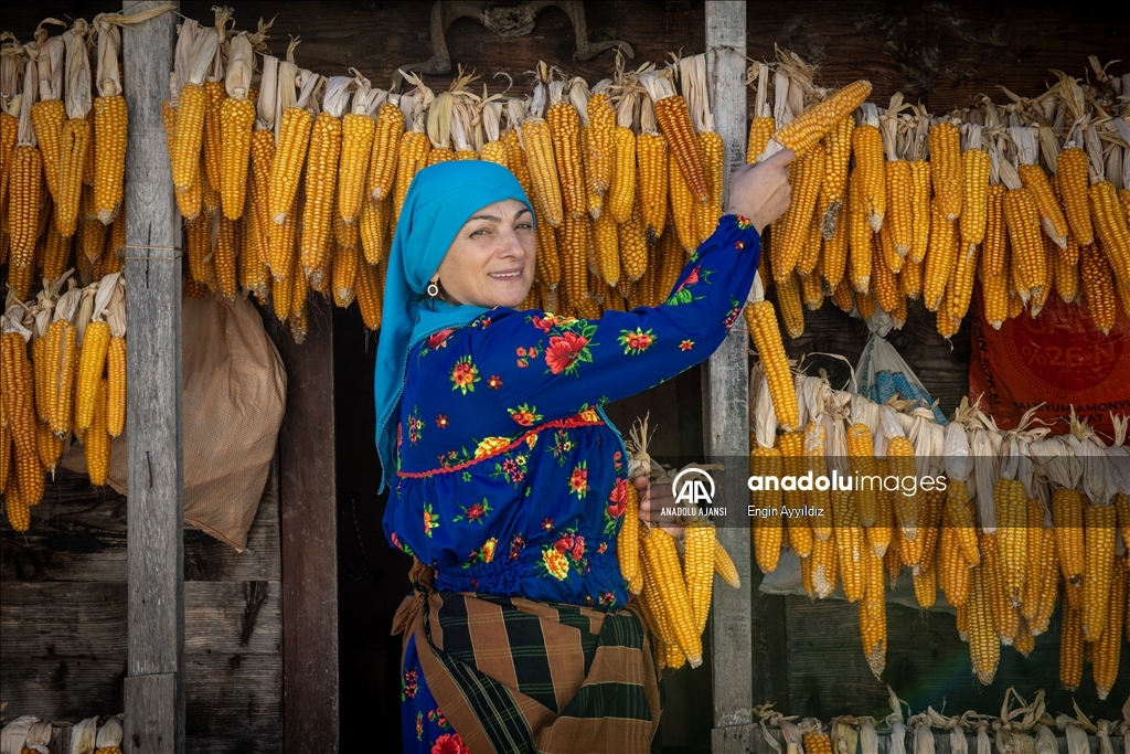 Karadeniz bölgesinin serenderlerinde kışa hazırlık mesaisi