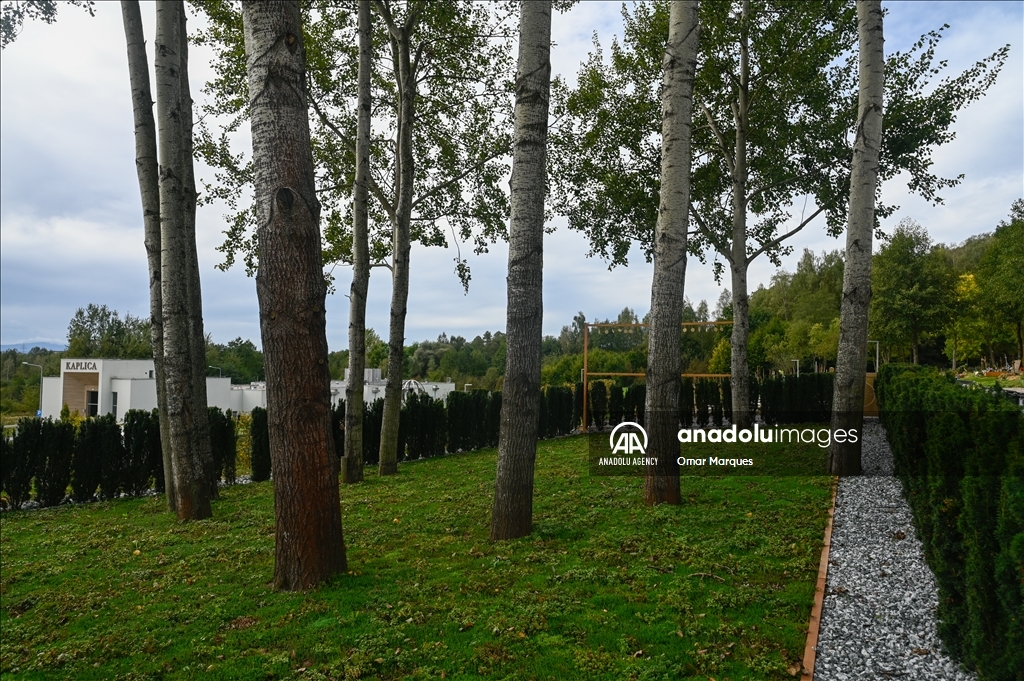 "Trees of Memory", the first fully ecological burial plot in Krakow