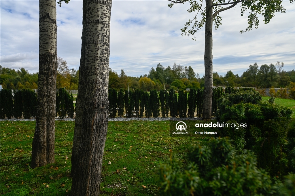 "Trees of Memory", the first fully ecological burial plot in Krakow