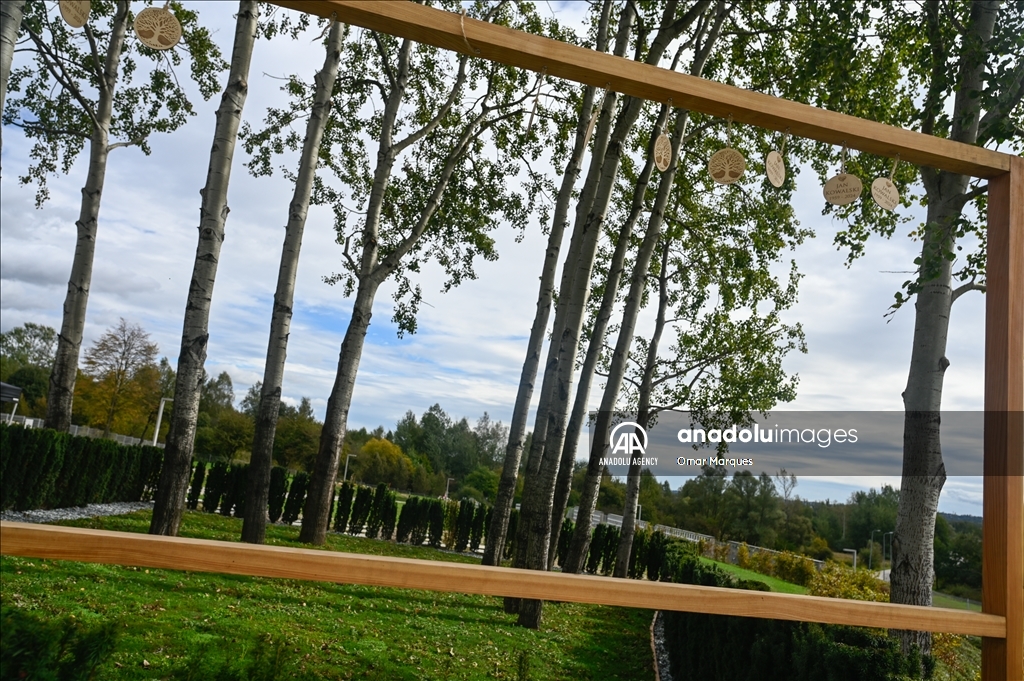 "Trees of Memory", the first fully ecological burial plot in Krakow