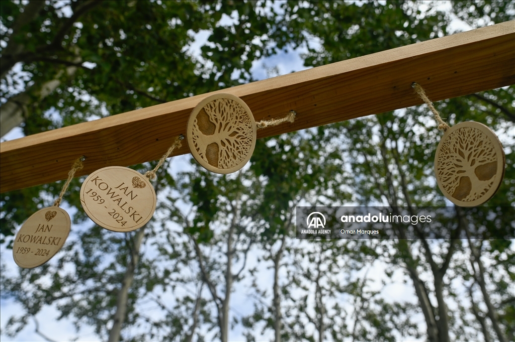 "Trees of Memory", the first fully ecological burial plot in Krakow