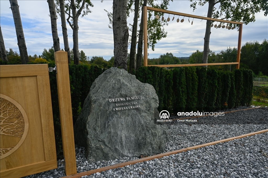 "Trees of Memory", the first fully ecological burial plot in Krakow