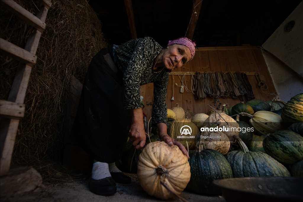 Karadeniz bölgesinin serenderlerinde kışa hazırlık mesaisi