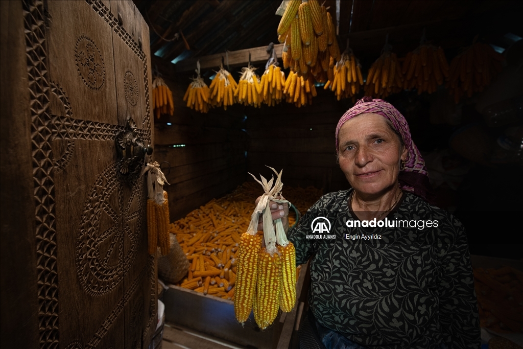 Karadeniz bölgesinin serenderlerinde kışa hazırlık mesaisi