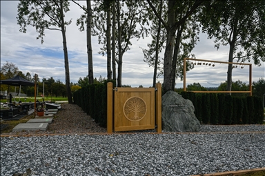 "Trees of Memory", the first fully ecological burial plot in Krakow