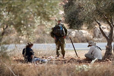 بـ"الفزعة".. الفلسطيني عودة يتحدى المستوطنين ويقطف زيتون الضفة