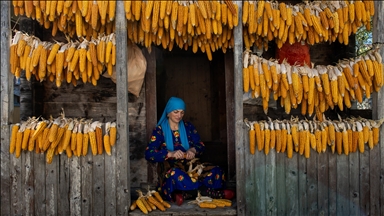 Karadeniz bölgesinin serenderlerinde kışa hazırlık mesaisi