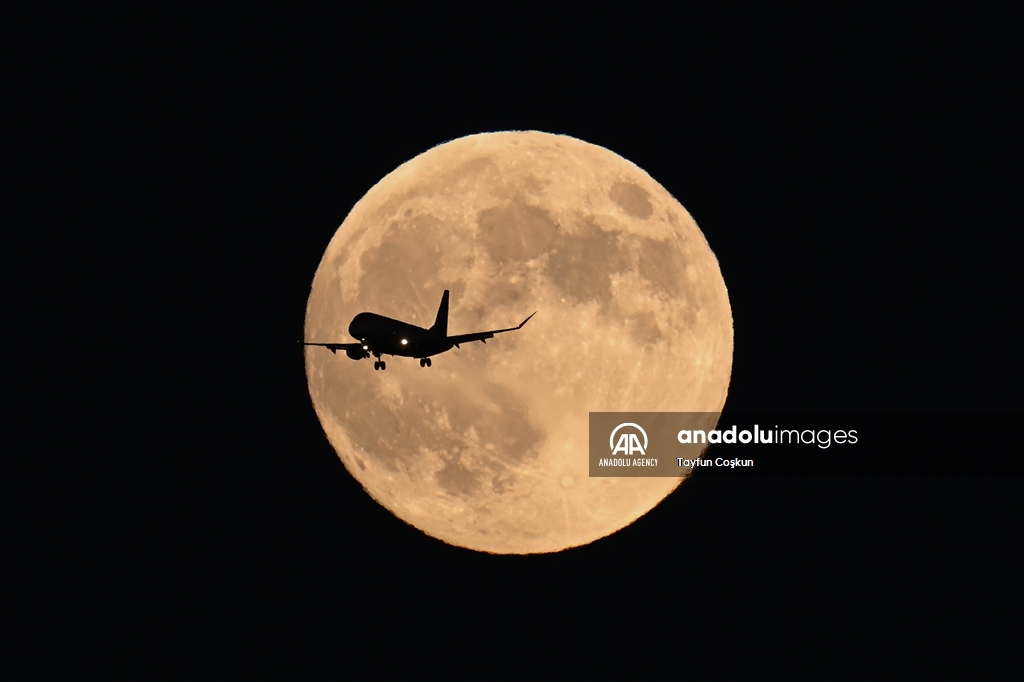 Hunter's Supermoon rises over San Francisco Bay