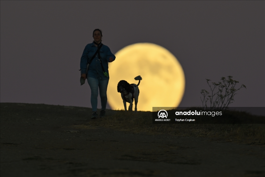 Hunter's Supermoon rises over San Francisco Bay